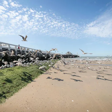 Apartamento Ocean Dream With Seaview By Interhome Blankenberge