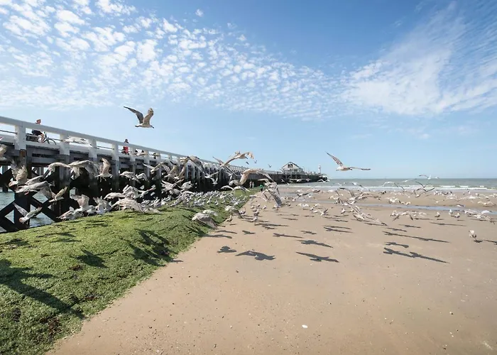 アパート Ocean Dream With Seaview By Interhome ブランケンベルヘ